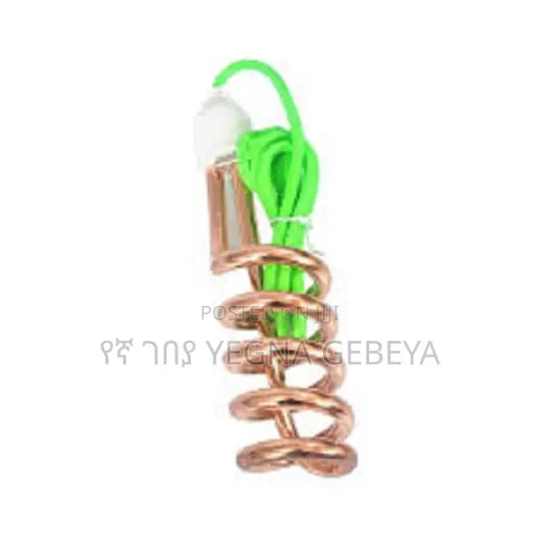 Immersion Electric Water Heater