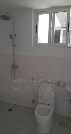 Furnished 3bdrm Apartment in Bole for rent