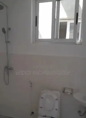 Furnished 3bdrm Apartment in Bole for rent