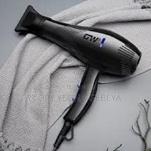 GWD Hair Dryer