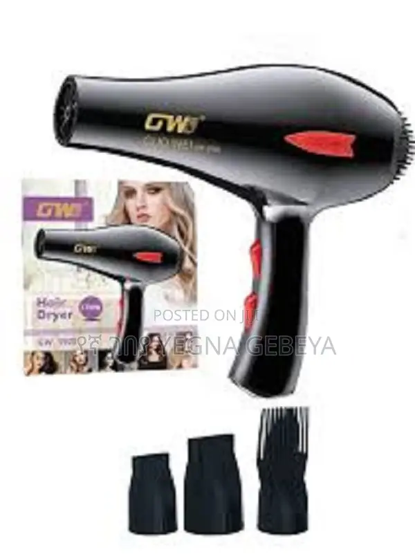 GWD Hair Dryer