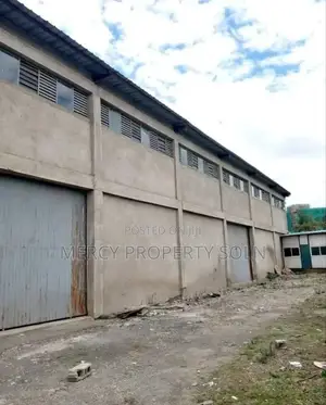 Photo - Warehouse for Sale in Kaliti Aa
