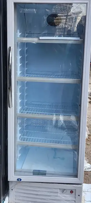 Everest Display Refrigerator 380