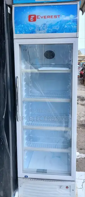 Everest Display Refrigerator 380