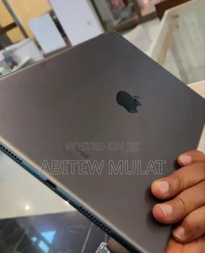 New Apple iPad Air 256 GB Gray