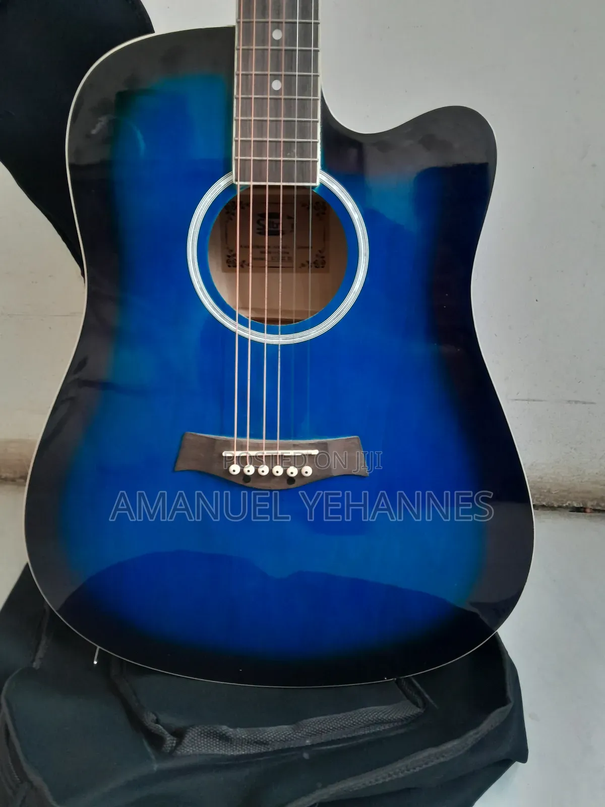 Siltron Semi Acoustic Guitar