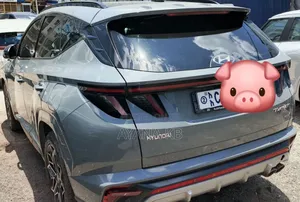 New Hyundai Tucson 2022 Gray