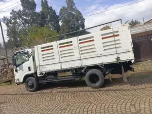 Isuzu. 2019 Model Double Filtro