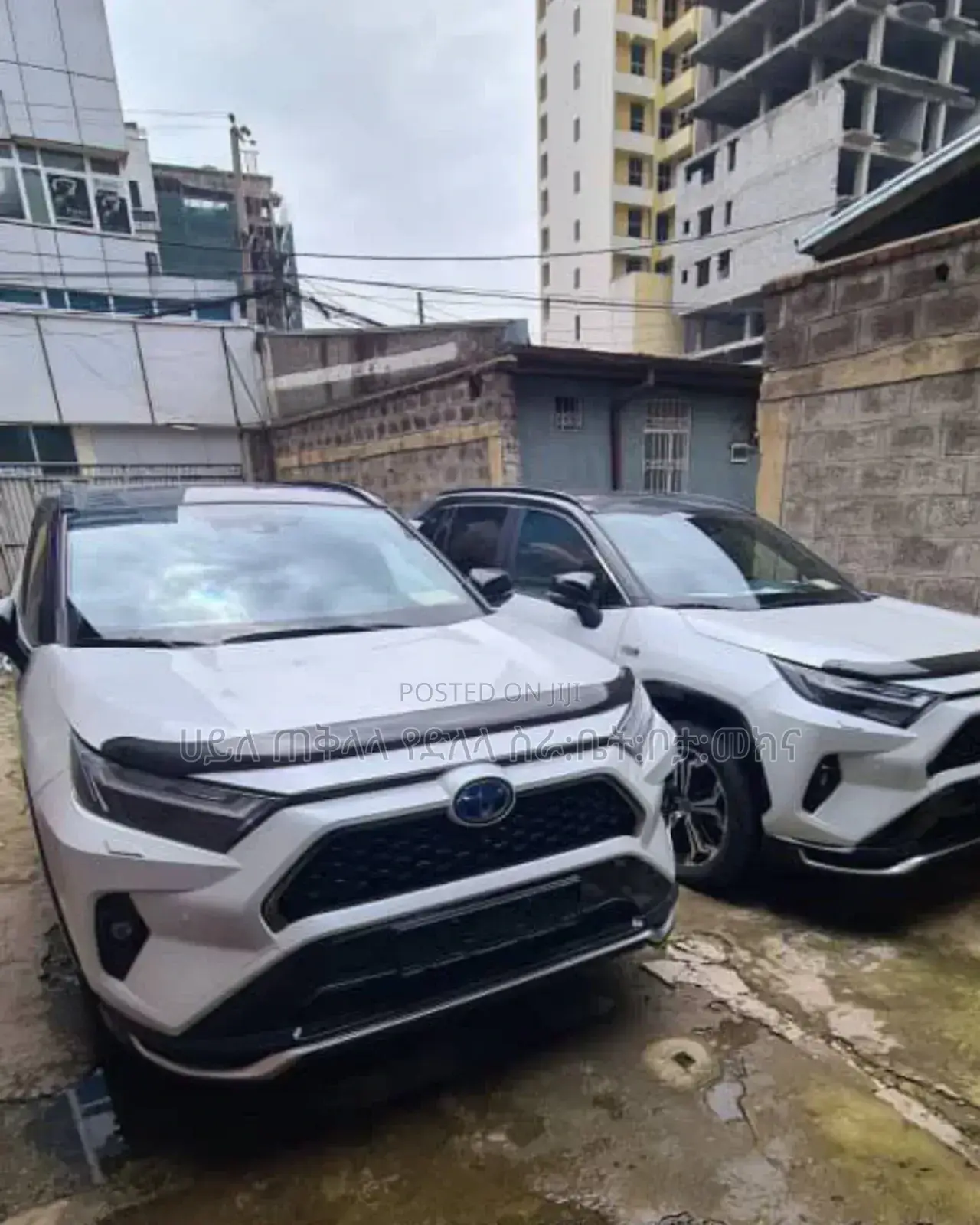 New Toyota RAV4 Hybrid 2024 Ivory