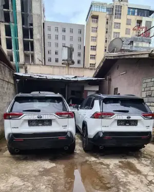 New Toyota RAV4 Hybrid 2024 Ivory