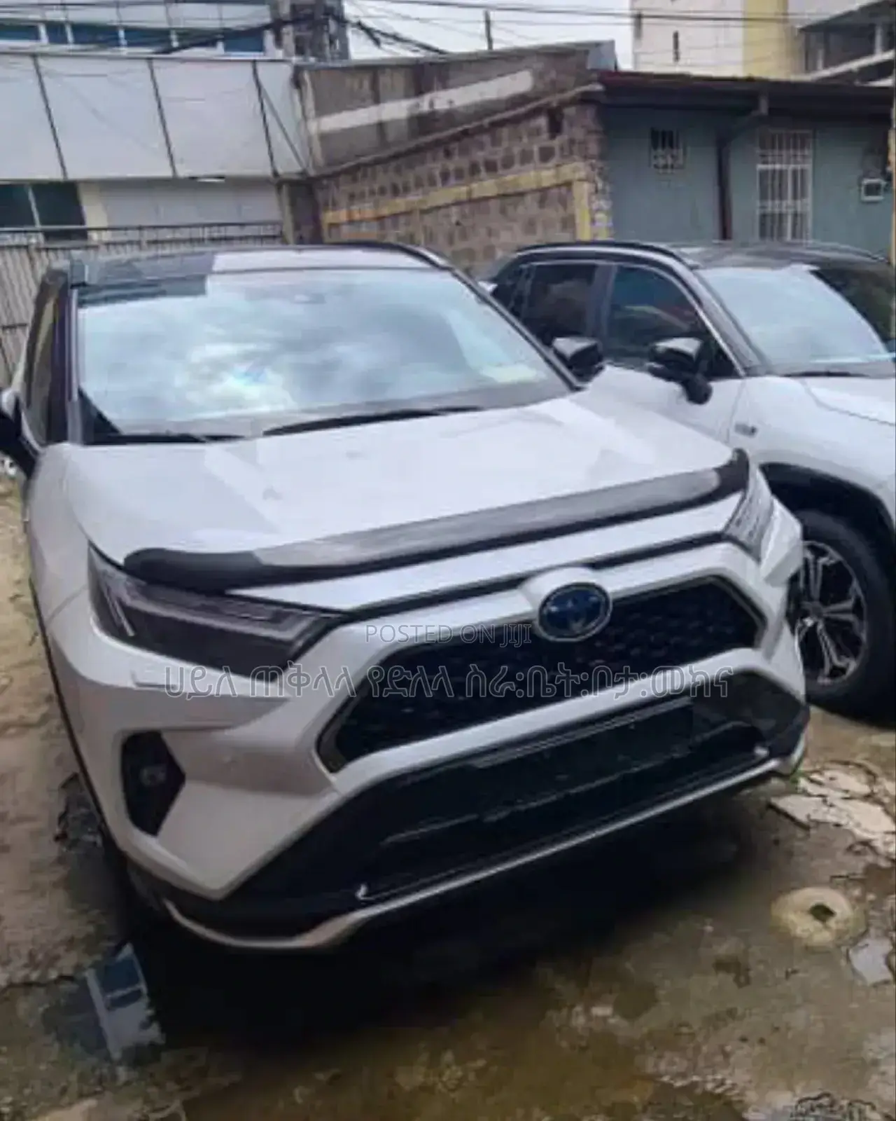 New Toyota RAV4 Hybrid 2024 Ivory