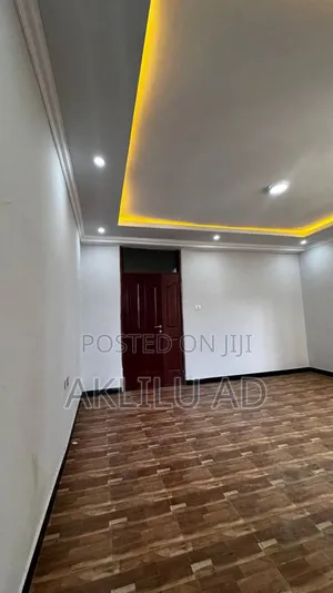 Furnished 1bdrm Condo in Bole Ayat for sale
