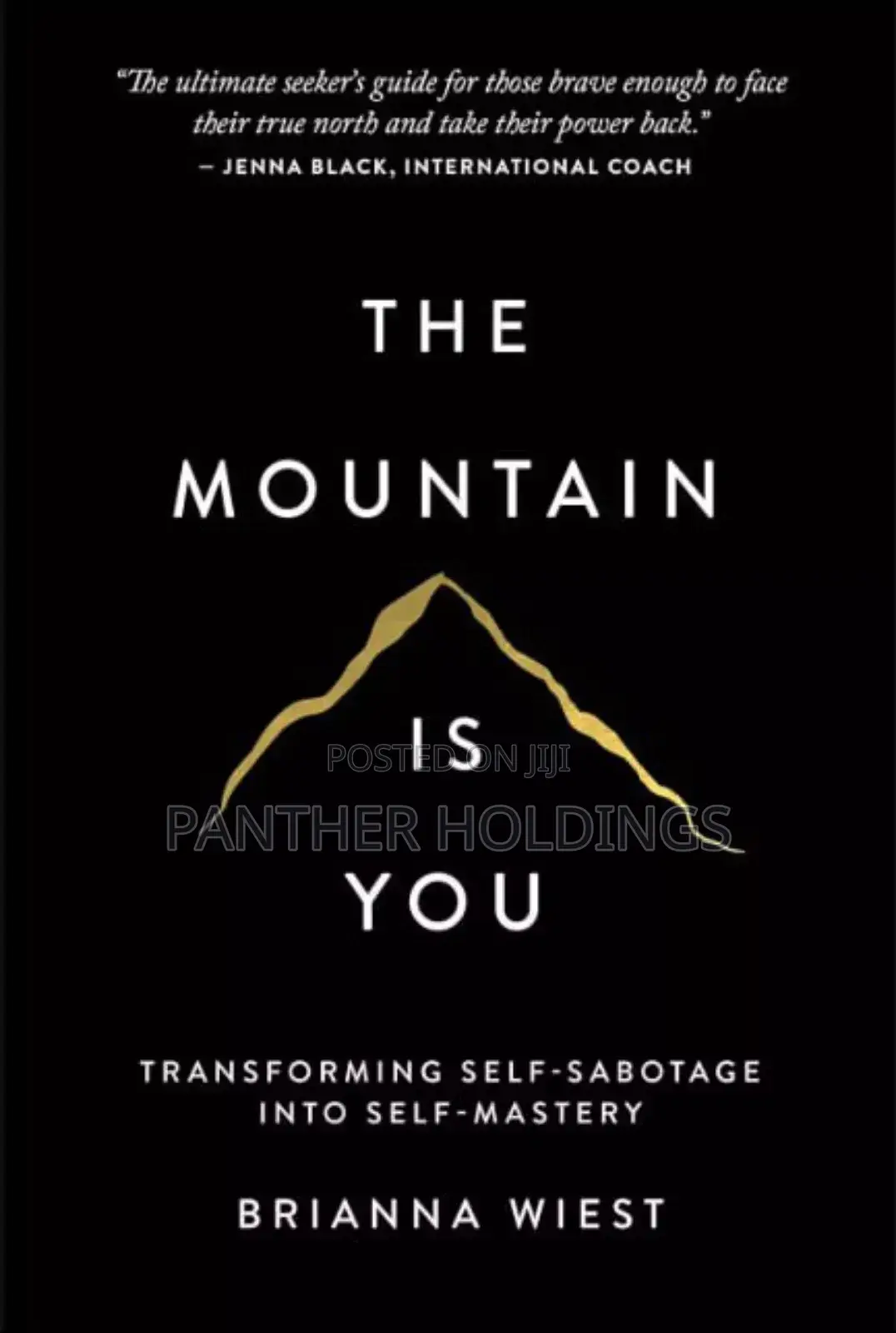 The Mountain Is You: Ebook/Audiobook