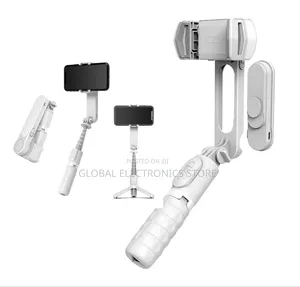 Gimbal + Wireless Tripod + Fill Light