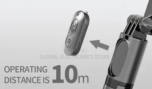 Gimbal + Wireless Tripod + Fill Light