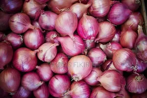 Photo - Onion ሽንኩርት