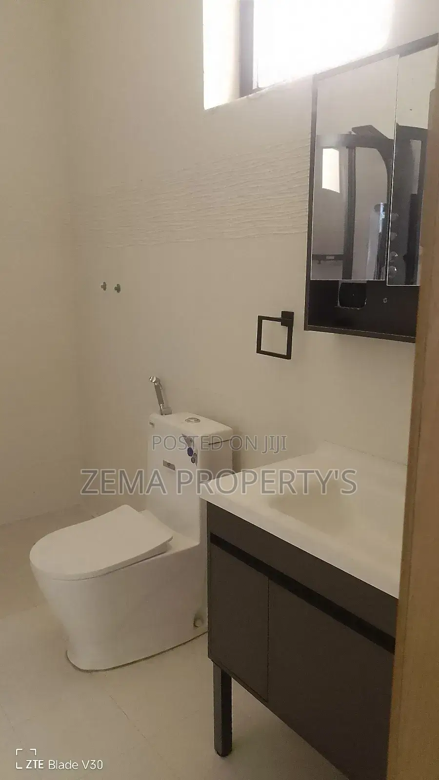 3bdrm Villa in Zema, Bole for rent