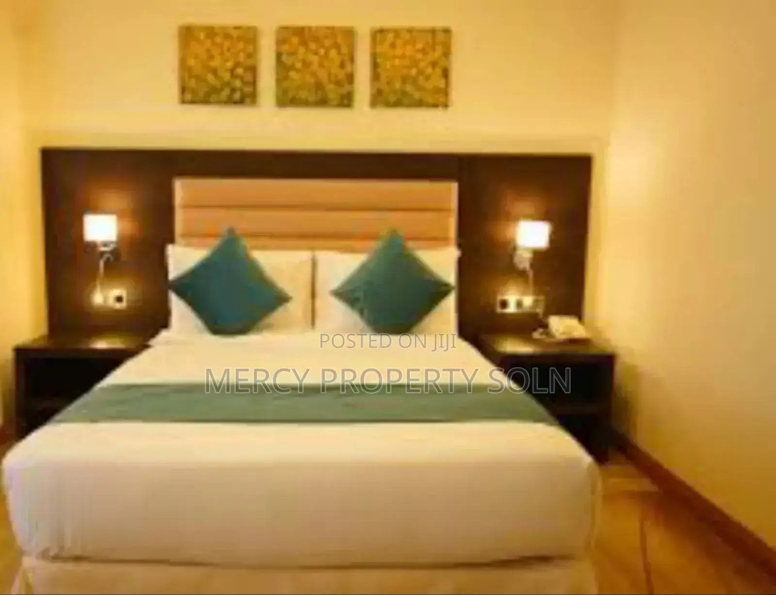 Furnished 1bdrm House in Bole for rent