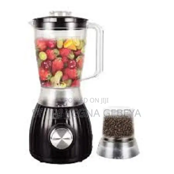 Rome Italy 2-in-1 Blender Rl-903 – Powerful Blending
