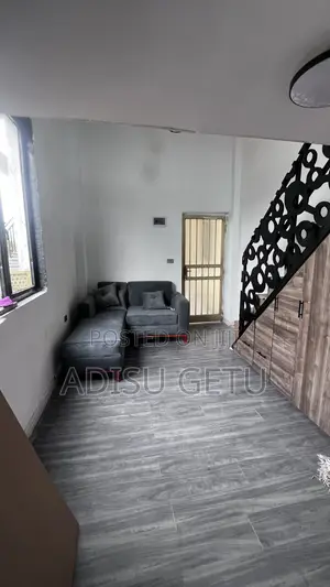 Photo - Furnished Mini Flat in Loft Studio, Bole for sale