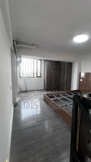 Furnished Mini Flat in Loft Studio, Bole for sale