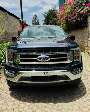 Photo - Ford F-150 2021 Gray