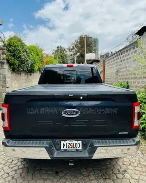 Ford F-150 2021 Gray