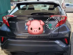 Toyota C-HR 2024 Gray