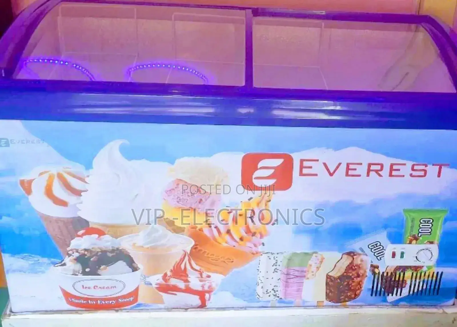 Everest Display Deep Freezer 500