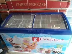 Everest Display Deep Freezer 500