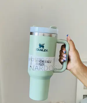 Stanley Tumblers