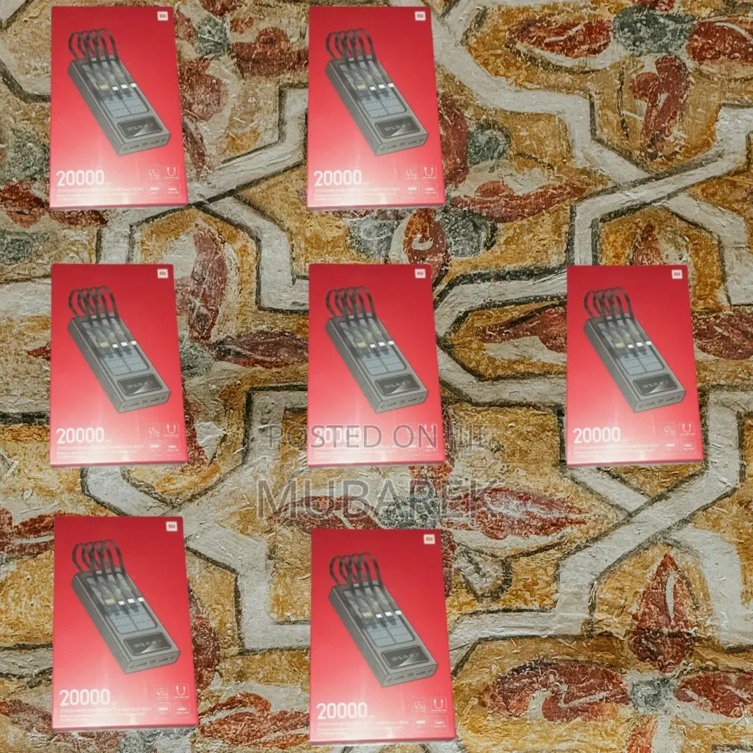 Charge Your World: Mi 20000mah Power Bank Cable