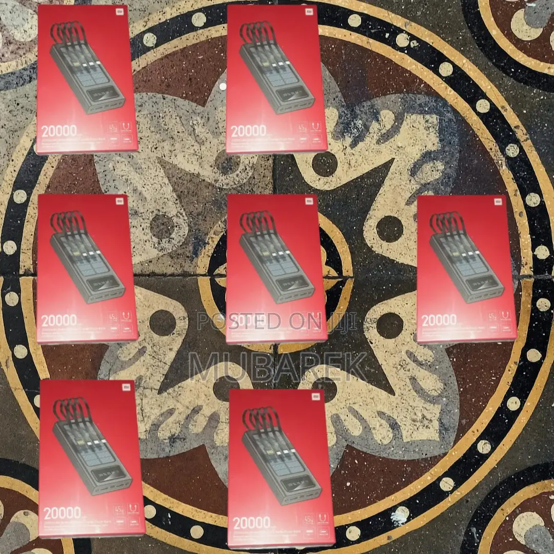 Essential for Outdoor Photography: Mi 20000mah + Cable