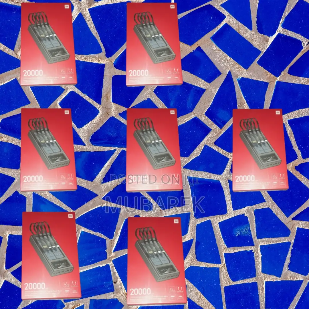 Get More for Your Money: Mi 20000mah Power Bank Cable