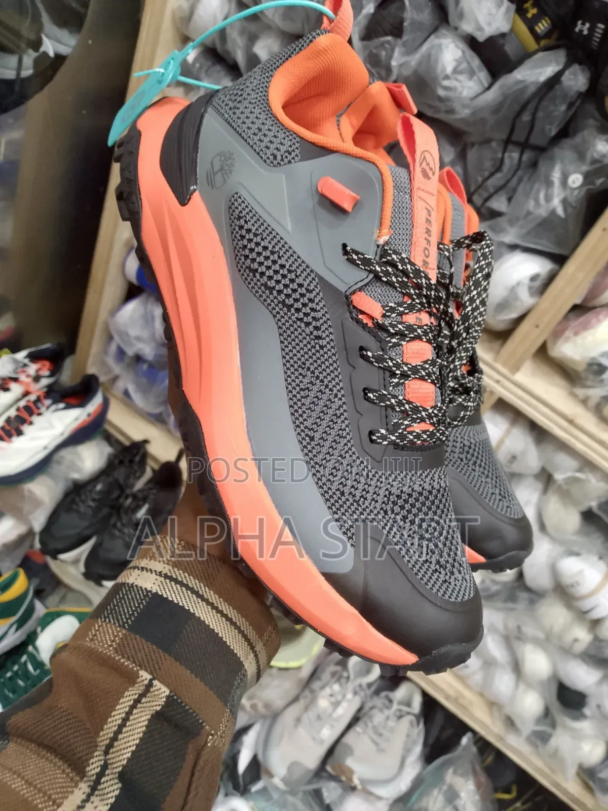 Timberland Hiking Water Proof Sneakers for You