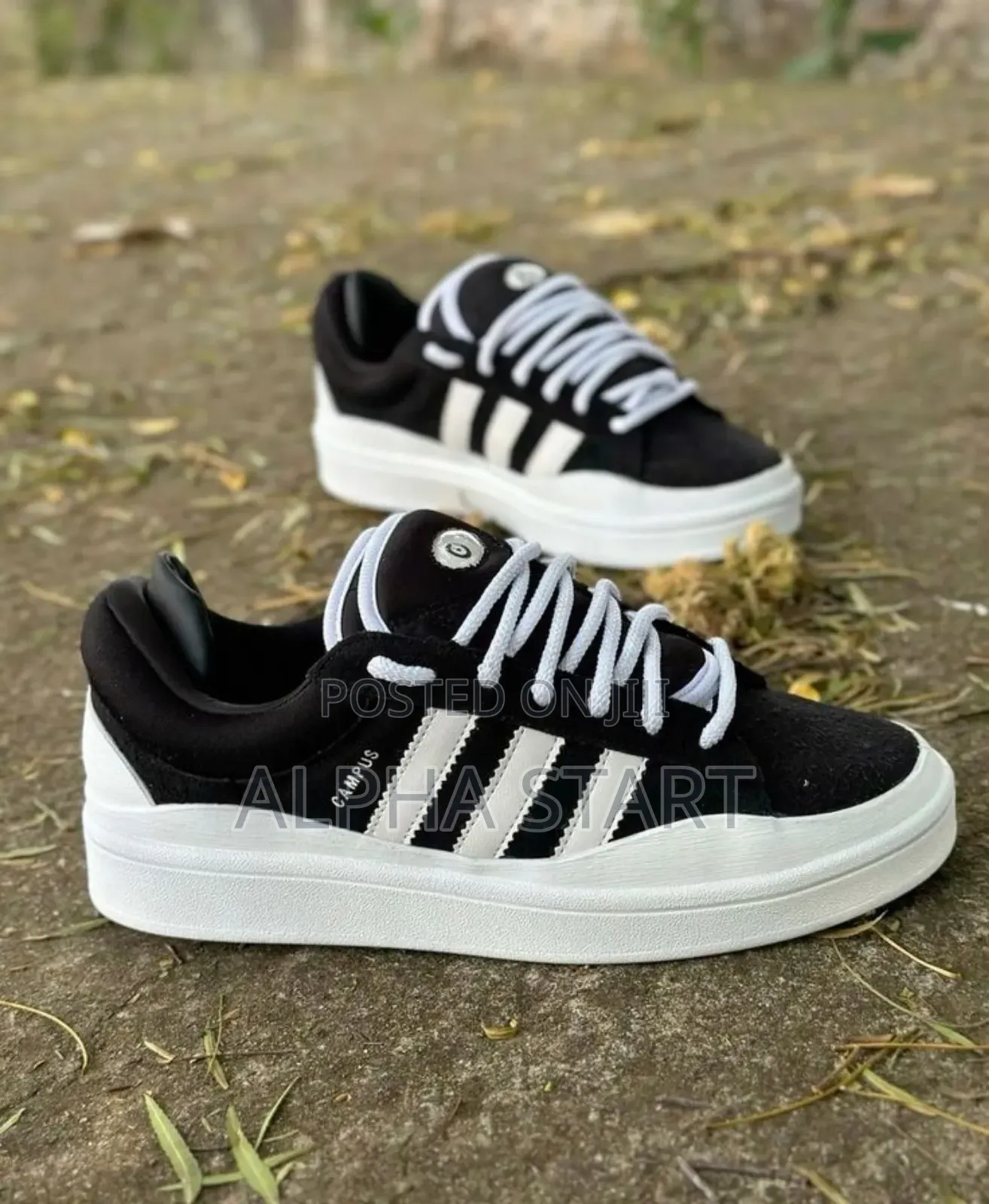 Adidas Campus Bad Bony Master Quality Smooth Shoes for You