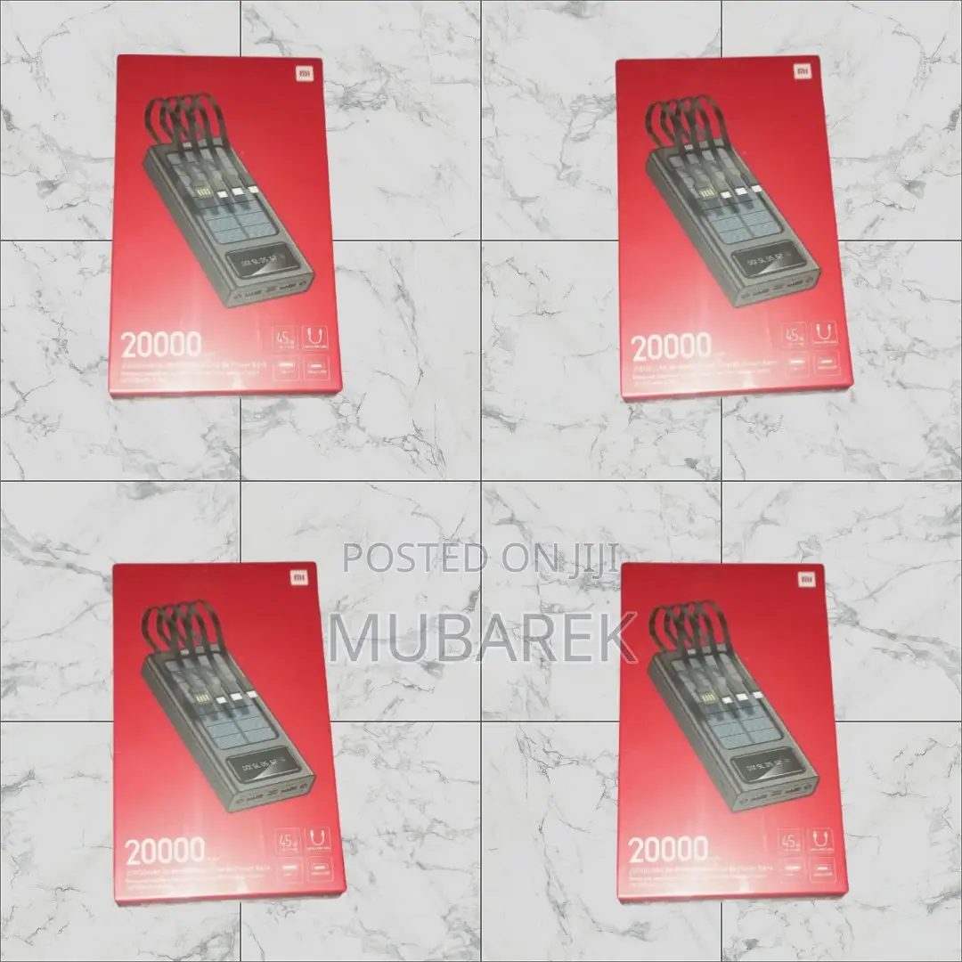 For Busy Professionals: Mi 20000mah Power Bank