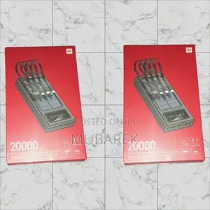For Busy Professionals: Mi 20000mah Power Bank