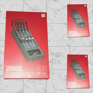 For Busy Professionals: Mi 20000mah Power Bank