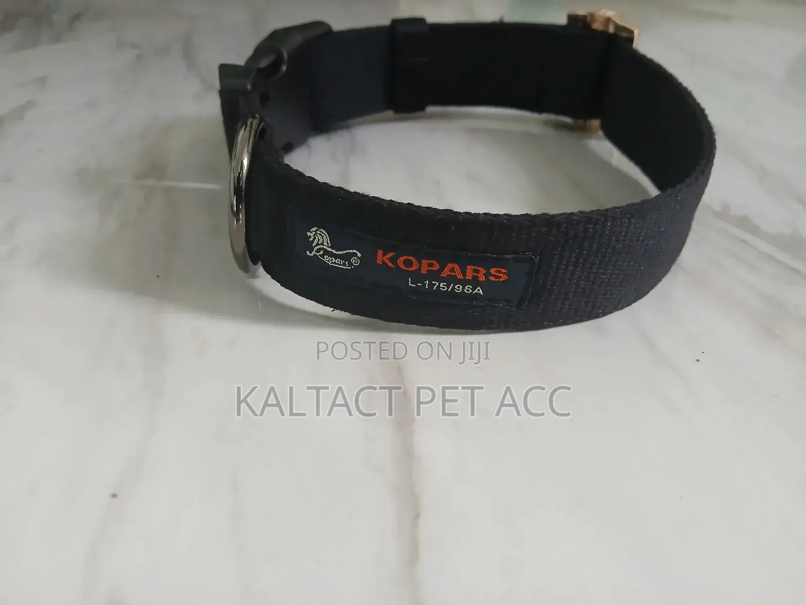 Dog Collars