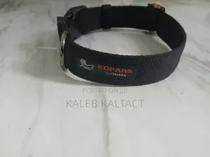 Dog Collars