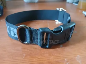Dog Collars