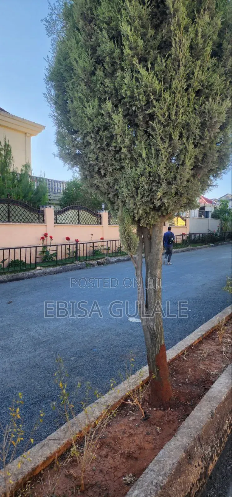 6bdrm Apartment in Roseta Real State, Yeka for sale