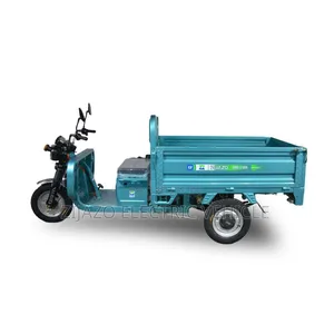 Electric Cargo Tricycle