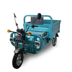Electric Cargo Tricycle
