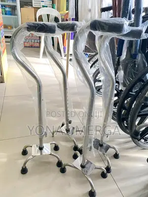 Photo - Iron Suvidha Walking Sticks Walking Sticks