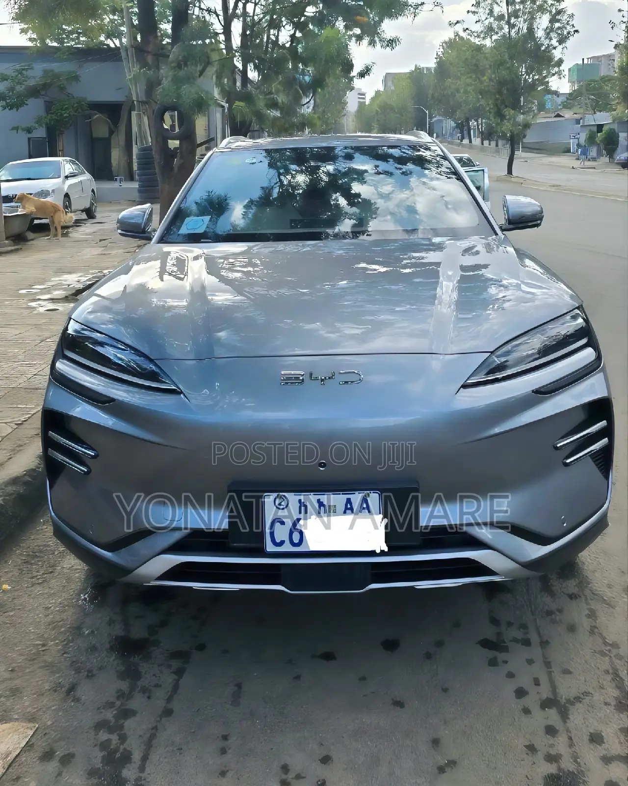 BYD Song Plus 2025 Gray