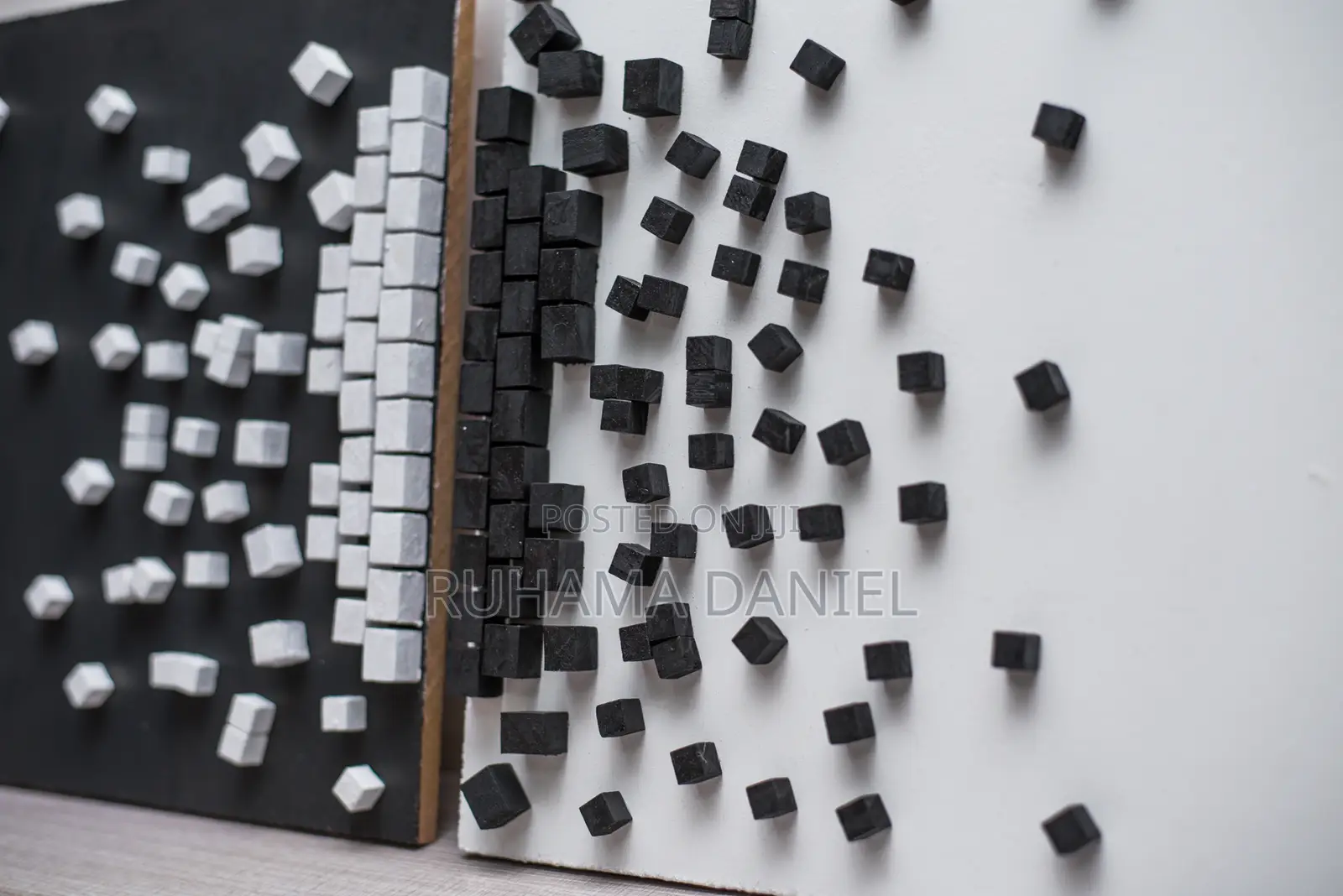 Black and White Wall Art