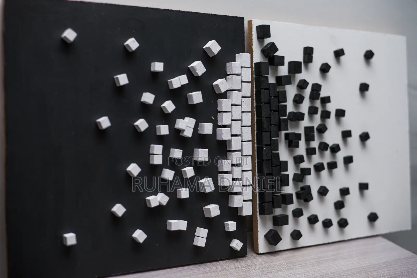 Black and White Wall Art