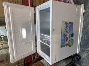 Everest Deep Freezer 260